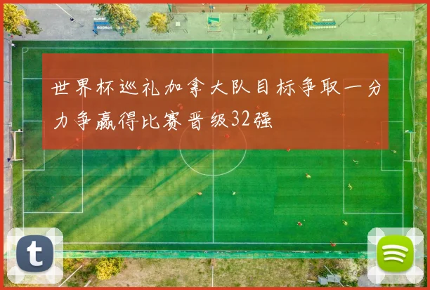 世界杯巡礼加拿大队目标争取一分力争赢得比赛晋级32强