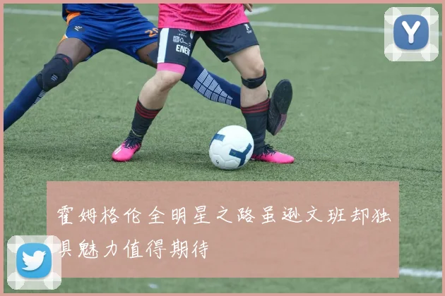 霍姆格伦全明星之路虽逊文班却独具魅力值得期待