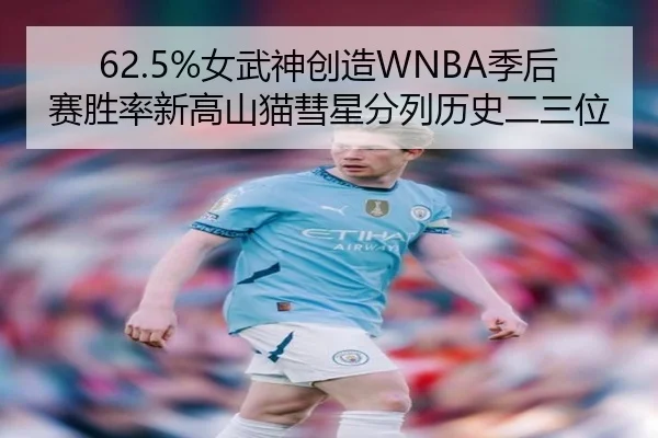 62.5%女武神创造WNBA季后赛胜率新高山猫彗星分列历史二三位 | kaiyun