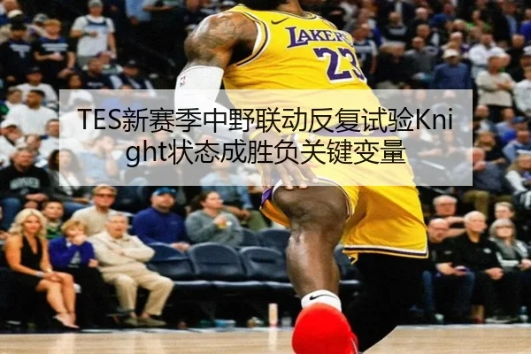 TES新赛季中野联动反复试验Knight状态成胜负关键变量 | kaiyun